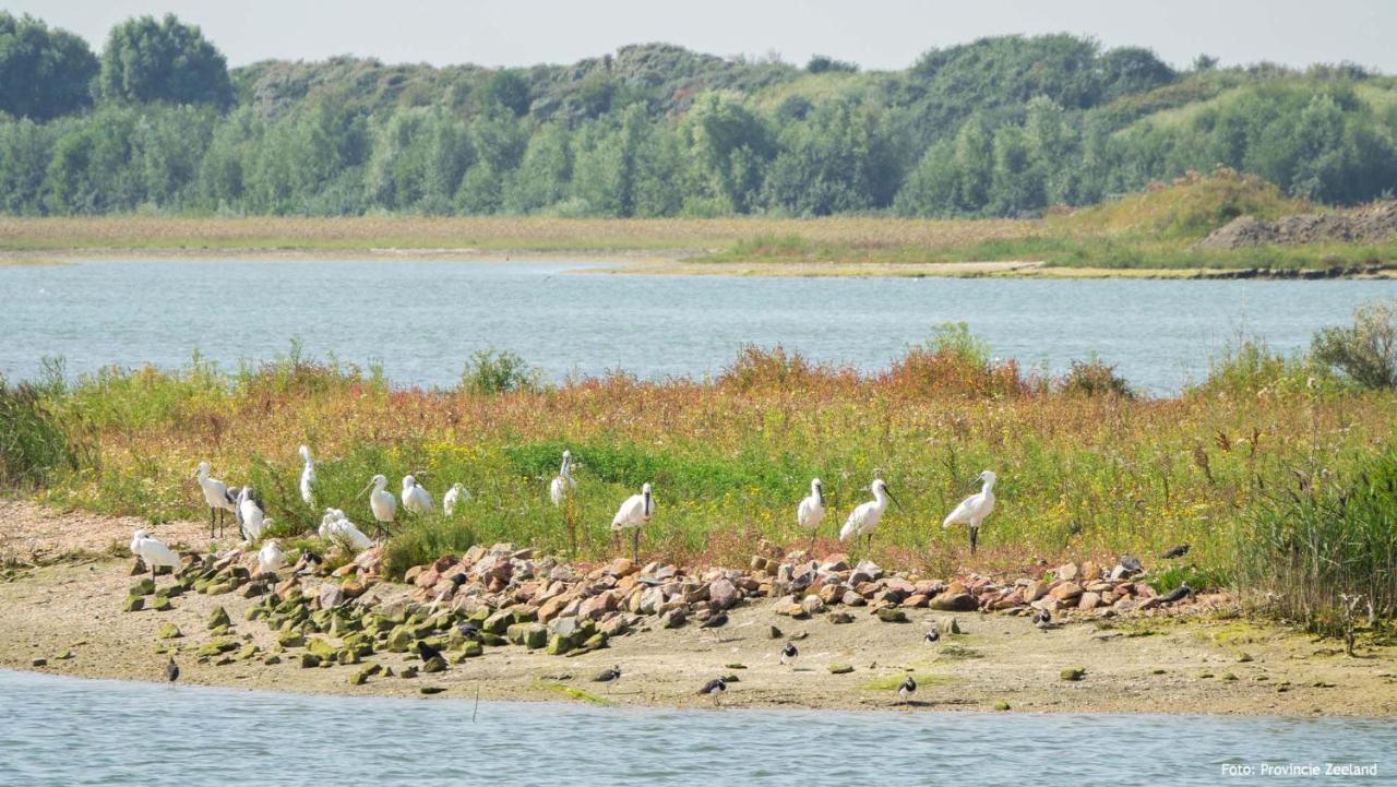 Molecaten Park Waterdunen Брескенс Екстер'єр фото